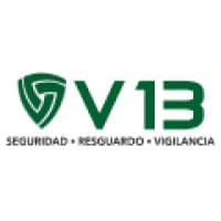 V13 Seguridad