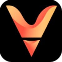 Voxel Agency